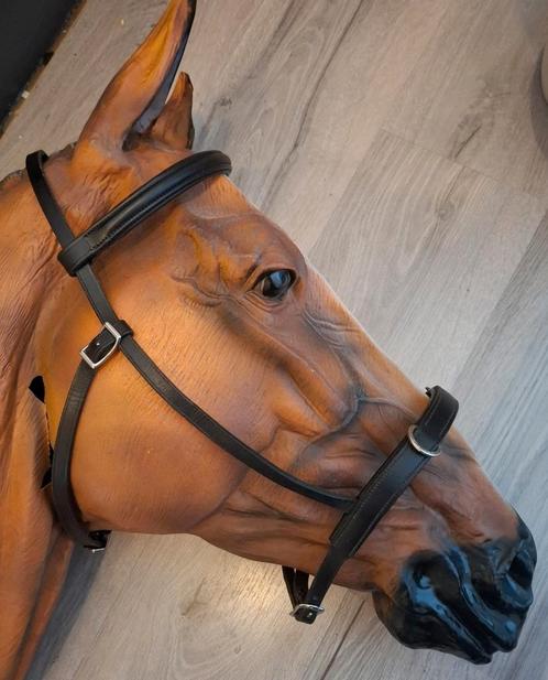 Kaptoom hackemore teugels dobbert neusriem dyon hoofdstel, Dieren en Toebehoren, Paarden en Pony's | Hoofdstellen en Tuigage, Zo goed als nieuw