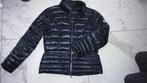 40 BEAUMONT dons jas, Kleding | Dames, Ophalen of Verzenden, Zo goed als nieuw, Maat 38/40 (M)