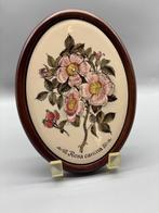 Vintage Ovaal ingelijste Tegel Rosa Canina, Ophalen of Verzenden