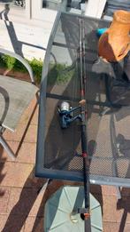 Vishengel met schepnet, Watersport en Boten, Hengelsport | Karpervissen, Ophalen, Zo goed als nieuw, Complete set