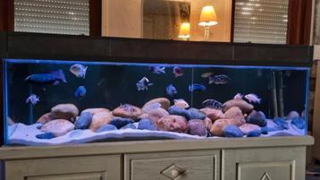 ///TE KOOP GROOT COMPLEET AQUARIUM//__ beschikbaar voor biedingen