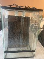 Terrarium met achterwanten, Ophalen, Gebruikt, Terrarium of Paludarium