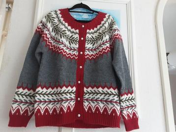 NIEUW Mooi vest maat M valt ruim €25! beschikbaar voor biedingen