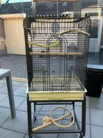 Te koop  grote vogelkooi prijs €50 vaste prijs, Dieren en Toebehoren, Vogels | Hokken en Kooien, Ophalen, Zo goed als nieuw, Metaal