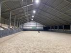 Pensionplek vrij voor ruin in ruinengroep!, Weidegang, 2 of 3 paarden of pony's