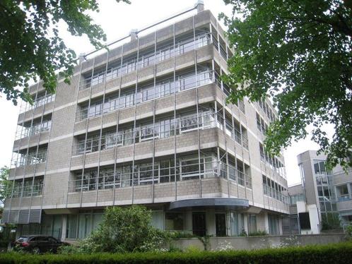 NIEUW! Woonruimte te huur Burgemeester Drijbersingel, Zwolle, Huizen en Kamers, Huizen te huur