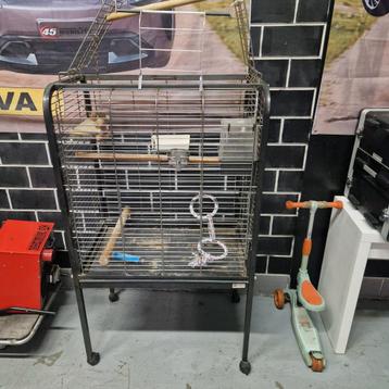 Grote vogel / papegaaien kooi beschikbaar voor biedingen