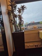 Kunststofplant in hoge zuilen bak, Ophalen, Zo goed als nieuw