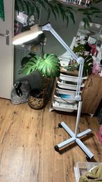 Staande Loeplamp op wieltjes, Ophalen, Gebruikt, Loeplamp