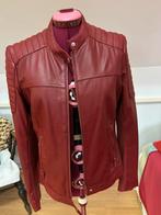 Arma Leren Damesjack - Stijlvol!, Kleding | Dames, Jassen | Zomer, Ophalen of Verzenden, Zo goed als nieuw, Maat 38/40 (M), Rood