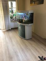 aquarium Aqualantis met gebogen ruit, Dieren en Toebehoren, Vissen | Aquaria en Toebehoren, Ophalen, Gebruikt, Gevuld zoetwateraquarium
