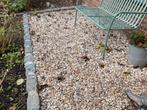 Gratis Limburgs maasgrind, Tuin en Terras, Grind, Keien en Split, Ophalen, Zo goed als nieuw