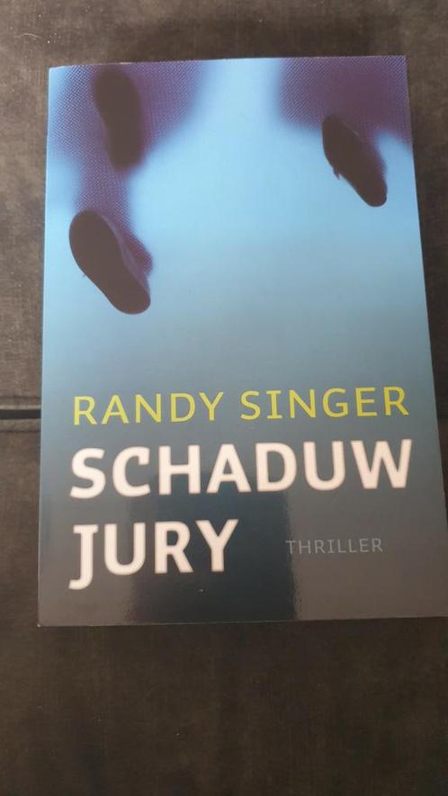 Randy Singer - Schaduwjury, Boeken, Thrillers, Zo goed als nieuw, Ophalen of Verzenden