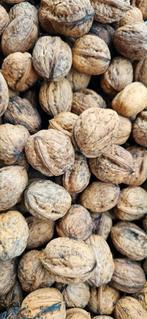 Walnoten, Diversen, Levensmiddelen, Ophalen