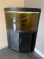 Aquarium, Ophalen, Zo goed als nieuw, Gevuld zoetwateraquarium