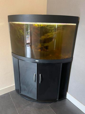 Aquarium beschikbaar voor biedingen