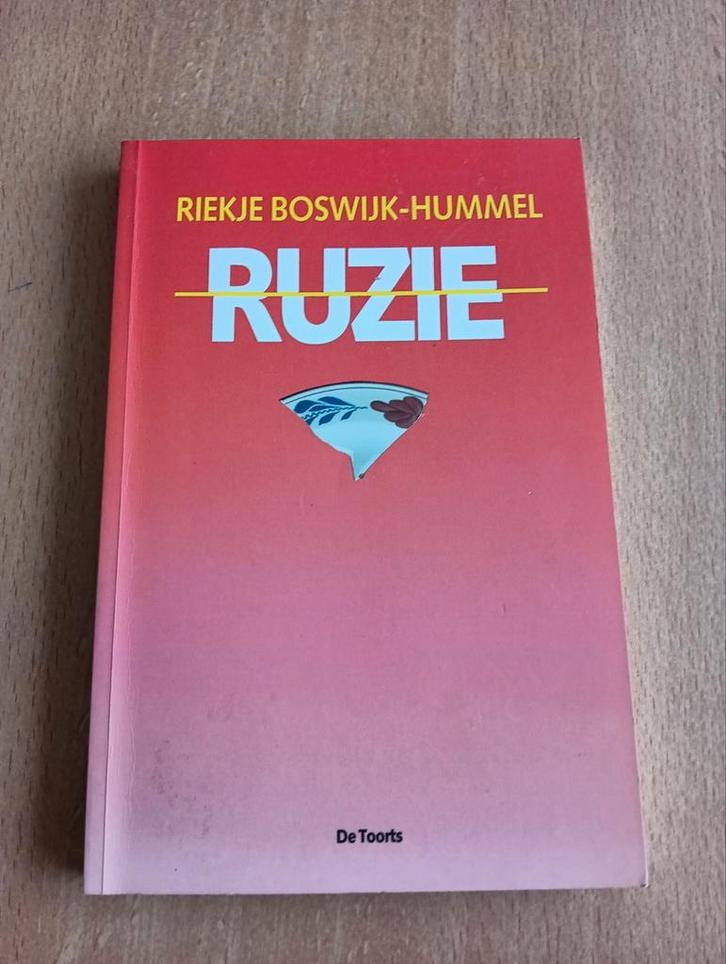 Riekje Boswijk-Hummel - Ruzie, Boeken, Psychologie, Zo goed als nieuw, Ophalen of Verzenden