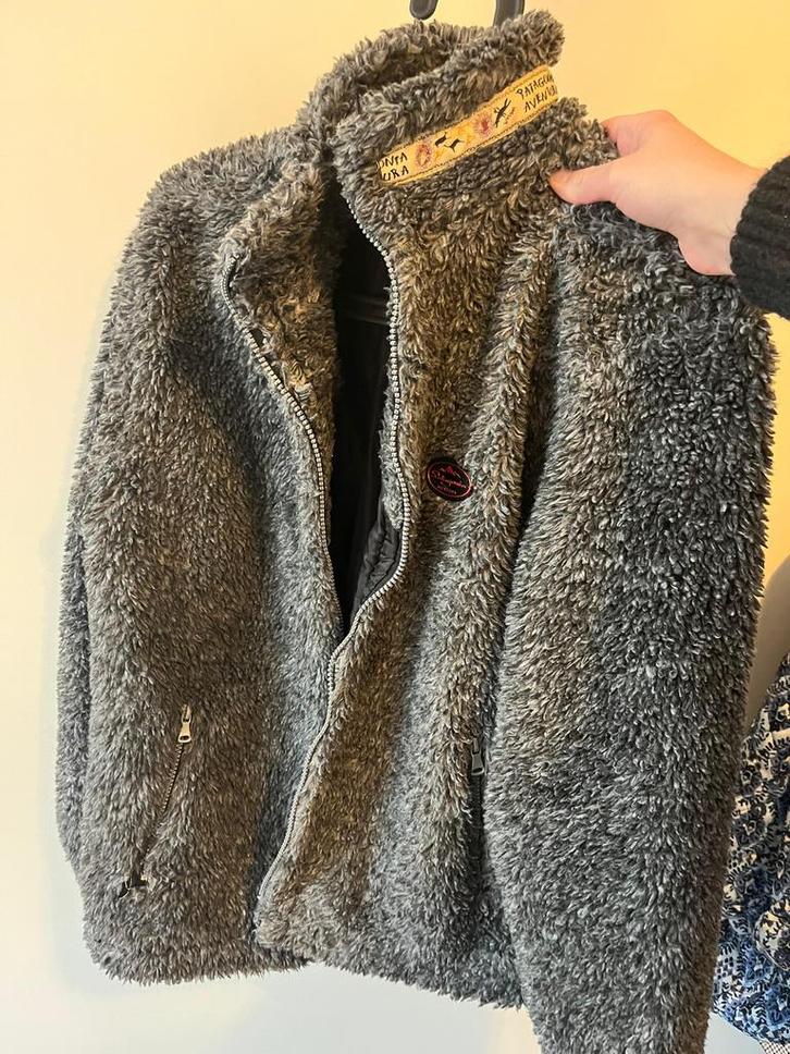 Patagonia vest, Kleding | Dames, Jassen | Winter, Gedragen, Maat 34 (XS) of kleiner, Grijs, Ophalen of Verzenden