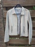 Suede damesjas, grijs, Ophalen of Verzenden, Zo goed als nieuw, Maat 38/40 (M), Grijs