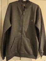 Heren vest, Nieuw, Ophalen of Verzenden, Grijs, Maat 52/54 (L)