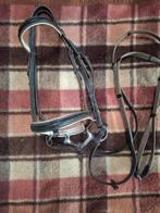 Hoofdstel full, Ophalen, Gebruikt, Dressuur
