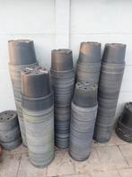 Kreuwel container potten, Ophalen, Zomer, Overige soorten, Volle zon