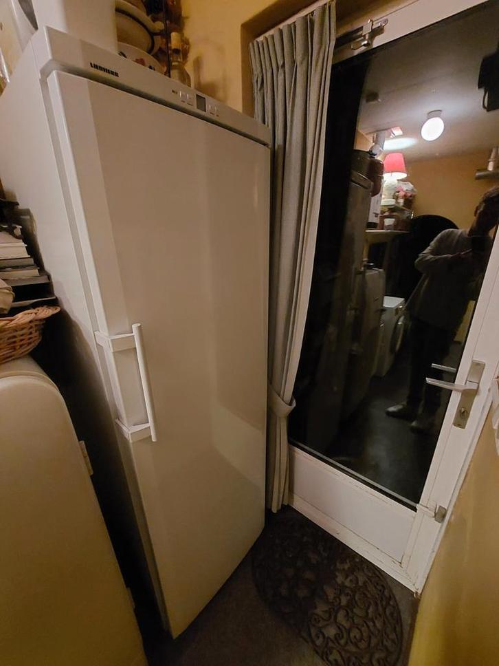 LIEBHERR 8-laden vriezer z.g.a.n., Witgoed en Apparatuur, Vriezers en Diepvrieskisten, Zo goed als nieuw, Vrijstaand, Vrieskast