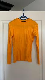 Karin miller maat s, Kleding | Dames, Tops, Ophalen of Verzenden, Zo goed als nieuw