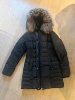 Lewinsky winter jacket with silver fox hoodie, Kleding | Dames, Zwart, Ophalen of Verzenden, Gedragen, Maat 38/40 (M)