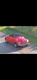 Vw kever cabriolet 1973 Rood, Auto's, 840 kg, Wit, Origineel Nederlands, Particulier