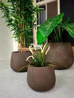 Plantenbak / Bloembak sets, Ophalen, Keramiek, Nieuw, 10 m² of meer