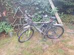 Mountainbike damesfiets kroegfiets teab, Ophalen