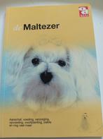 De Maltezer, Ophalen of Verzenden, Zo goed als nieuw, Honden