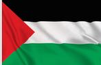 Vlag Palestina met ringen, Diversen, Vlaggen en Wimpels, Ophalen of Verzenden, Nieuw
