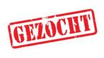 Gezocht: paddock-plekje in Noord Holland, Dieren en Toebehoren, 2 of 3 paarden of pony's