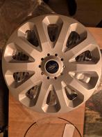 Ford fiesta, Auto diversen, Wieldoppen, Ophalen of Verzenden, Gebruikt
