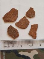 Dinosaurus eierschalen 5 stuks van een Titanosaurus (4), Verzenden, Fossiel