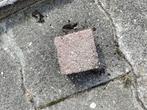 Cobblestones 10x10, Tuin en Terras, Ophalen of Verzenden, Zo goed als nieuw, Hout