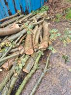 Brandhout voor de kachel - Slochteren, Tuin en Terras, Minder dan 3 m³, Ophalen, Overige houtsoorten, Takken