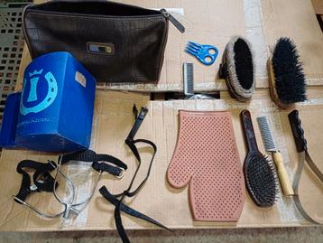 Paardenspullen  beschikbaar voor biedingen