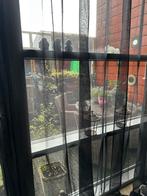 1 Zwarte inbetween vitrage Britt, 100 tot 150 cm, 200 cm of meer, Zwart, Nieuw