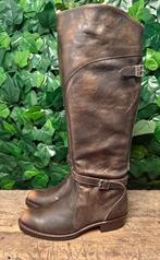Nieuwe gave dorado riding boots van Frye maat 38 (maat 8), Hoge laarzen, Bruin, Frye, Nieuw