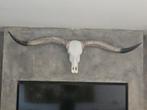 Grote Longhorn Skull, Ophalen, Zo goed als nieuw