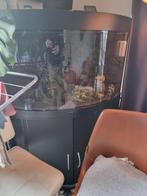 Aquarium met pomp, Ophalen