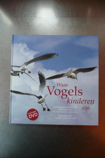 Waar Vogels kinderen zijn - Walter Jacob Pool (Ameland) beschikbaar voor biedingen
