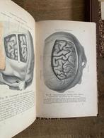 Atlas Topographischen Anatomie des Menschen 1904 5 delen, Ophalen of Verzenden