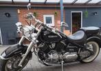 Zeer mooie dragstar 1100 classic, Particulier, Meer dan 35 kW, 1100 cc, Chopper
