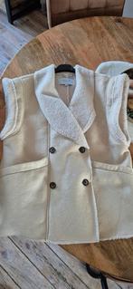 Gilet van Costes M/L, Overige kleuren, Maat 42/44 (L), Nieuw, Ophalen of Verzenden