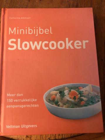 Minibijbel Slowcooker - 150+ Recepten! beschikbaar voor biedingen