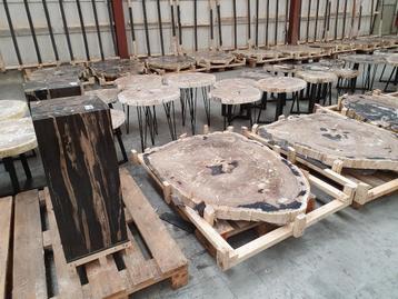 Grote partij versteend hout te koop uit eigen voorraad beschikbaar voor biedingen